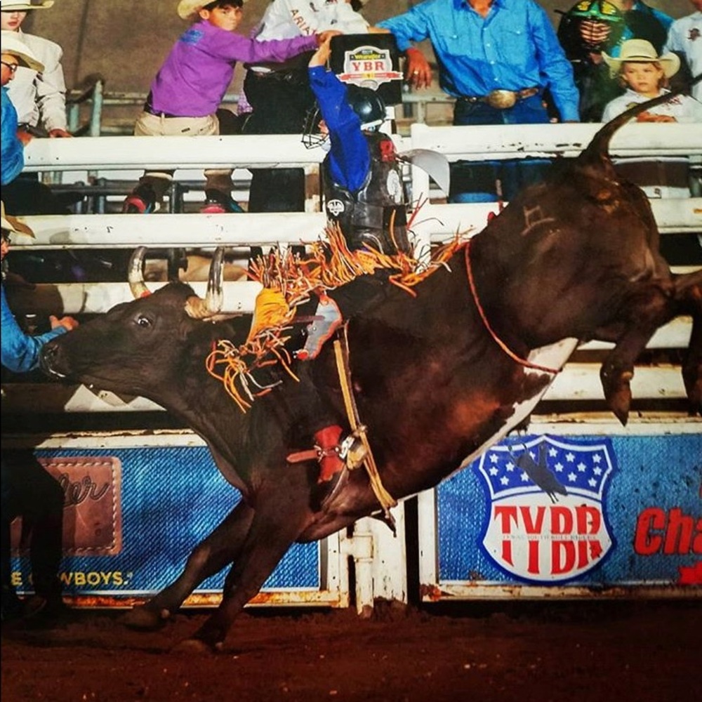 Meet your Posher, Carter